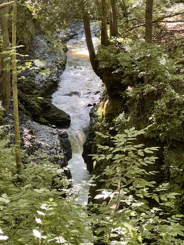 Water rushes through a narrow gorge in a lush green forest at Clifton Gorge National Natural Landmark