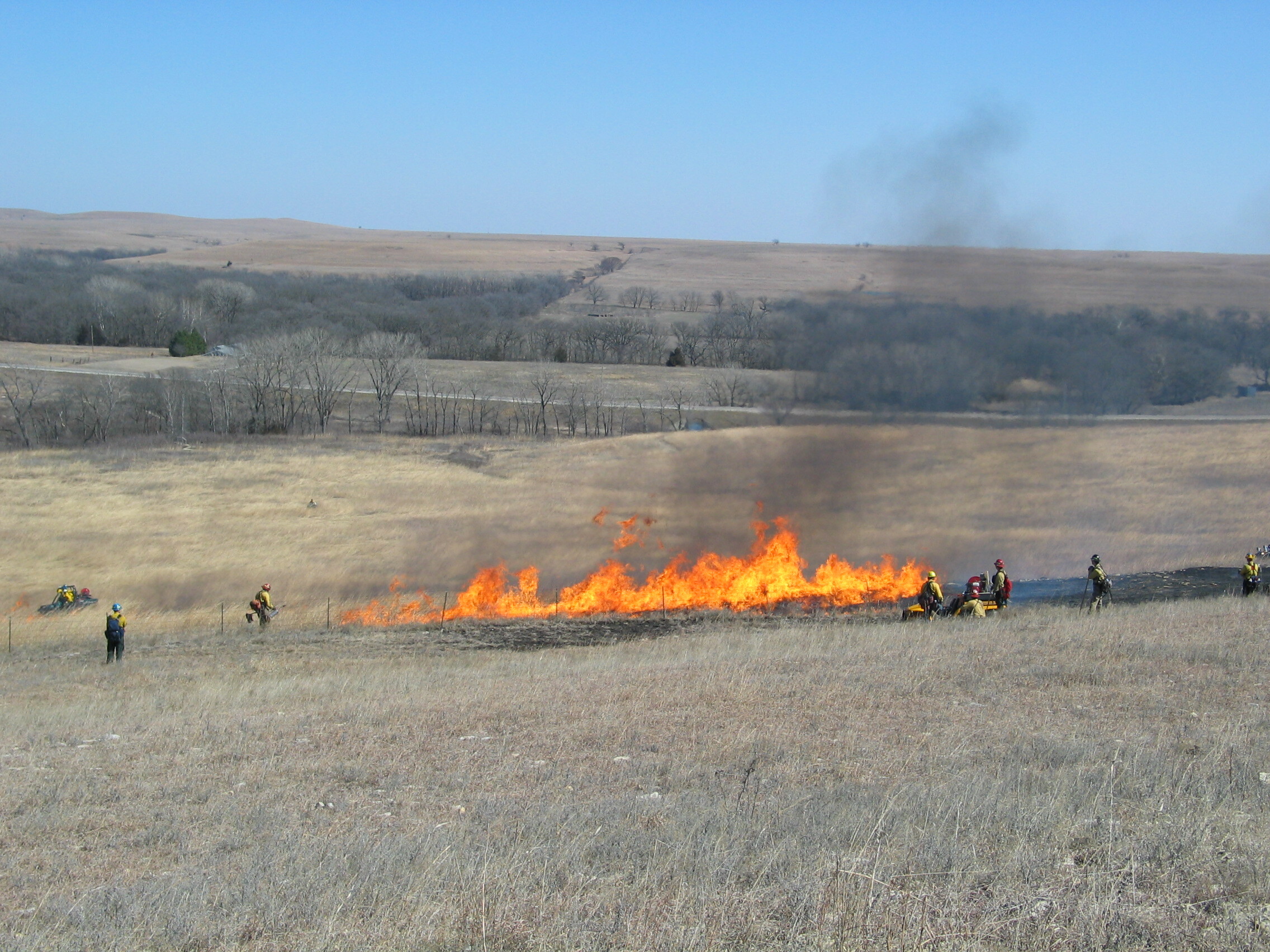 Flames leap up in the middle of dry grass prairie. Firefighters stand on two sides of the fire.