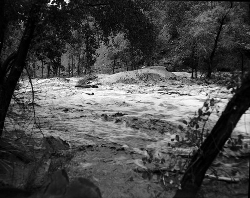 Virgin River in flood stage at the area of the 'Great Slide' below the Court of the Patriarchs.