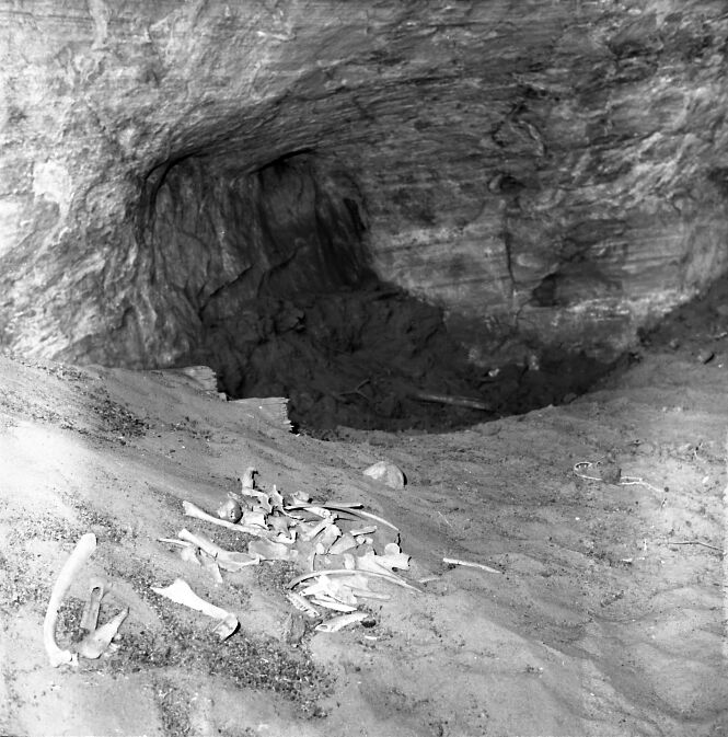 42WS0069. Indian cave in Cave Valley for documenting pot hunter activities and vandalism.
