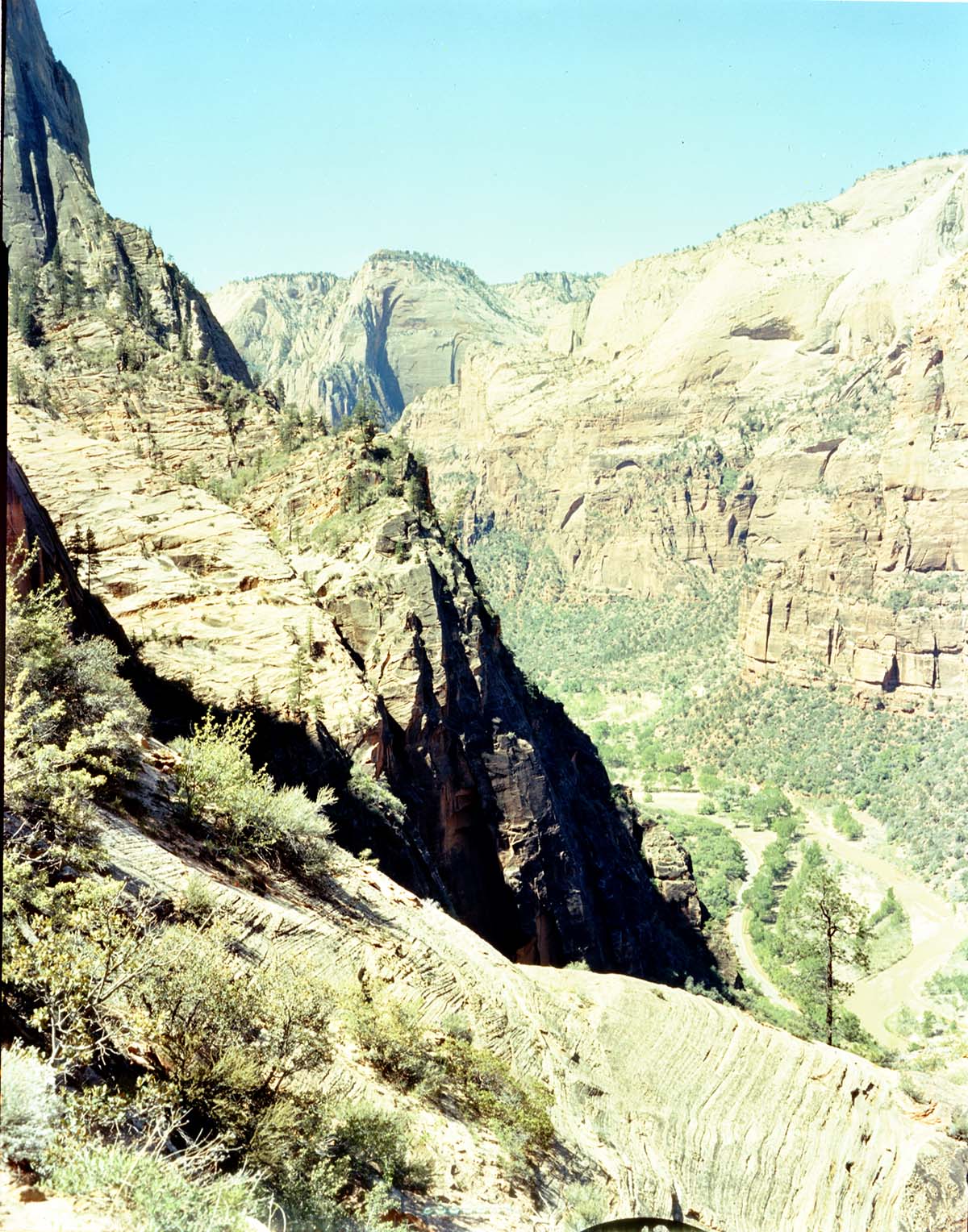 Color Photos of Zion Canyon - 4x5.