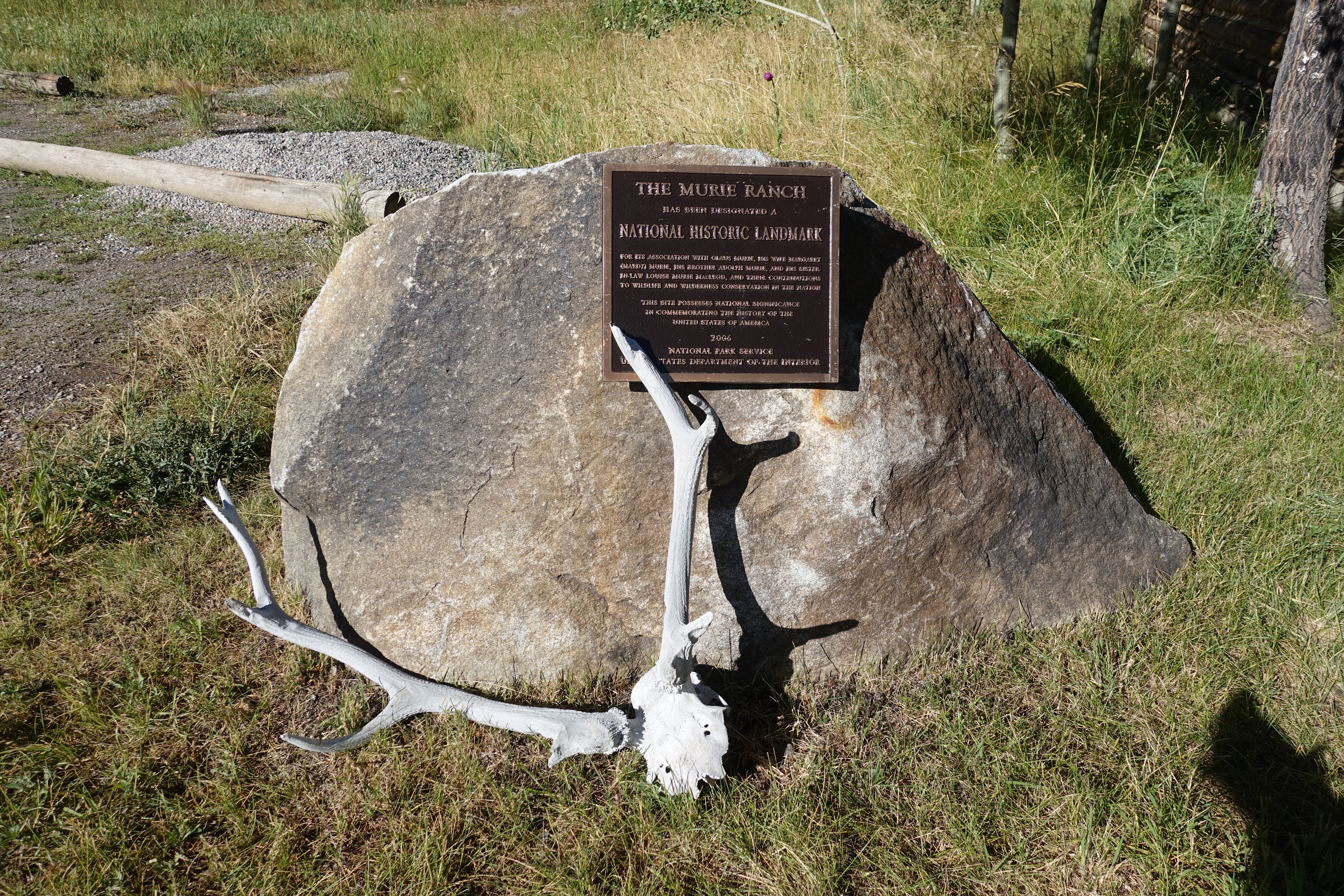 National Historic Landmark plaque, on a large stone, with a deer skull in front of it. The plaque reads "The Murie Ranch has been designated a National Historic Landmark for its association with Claus Murie, his wife Margaret (Mardy) Murie, his brother Adolph Murie, and his sister-in-law Louise Murie MacLeod, and their contributions to wildlife and wilderness conservation in the nation. This site possesses national significance in commemorating the history of the United States of America. 2006. National Park Service. United States Department of the Interior. 