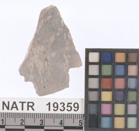NATR   19359 -- Late Archaic Stemmed Cluster projectile point