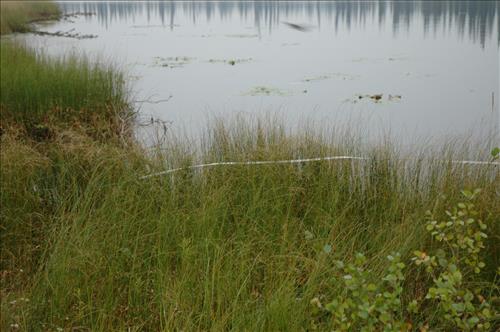 2 Water Quality Testing in Yukon-Charley Rivers National Preserve, August 2005