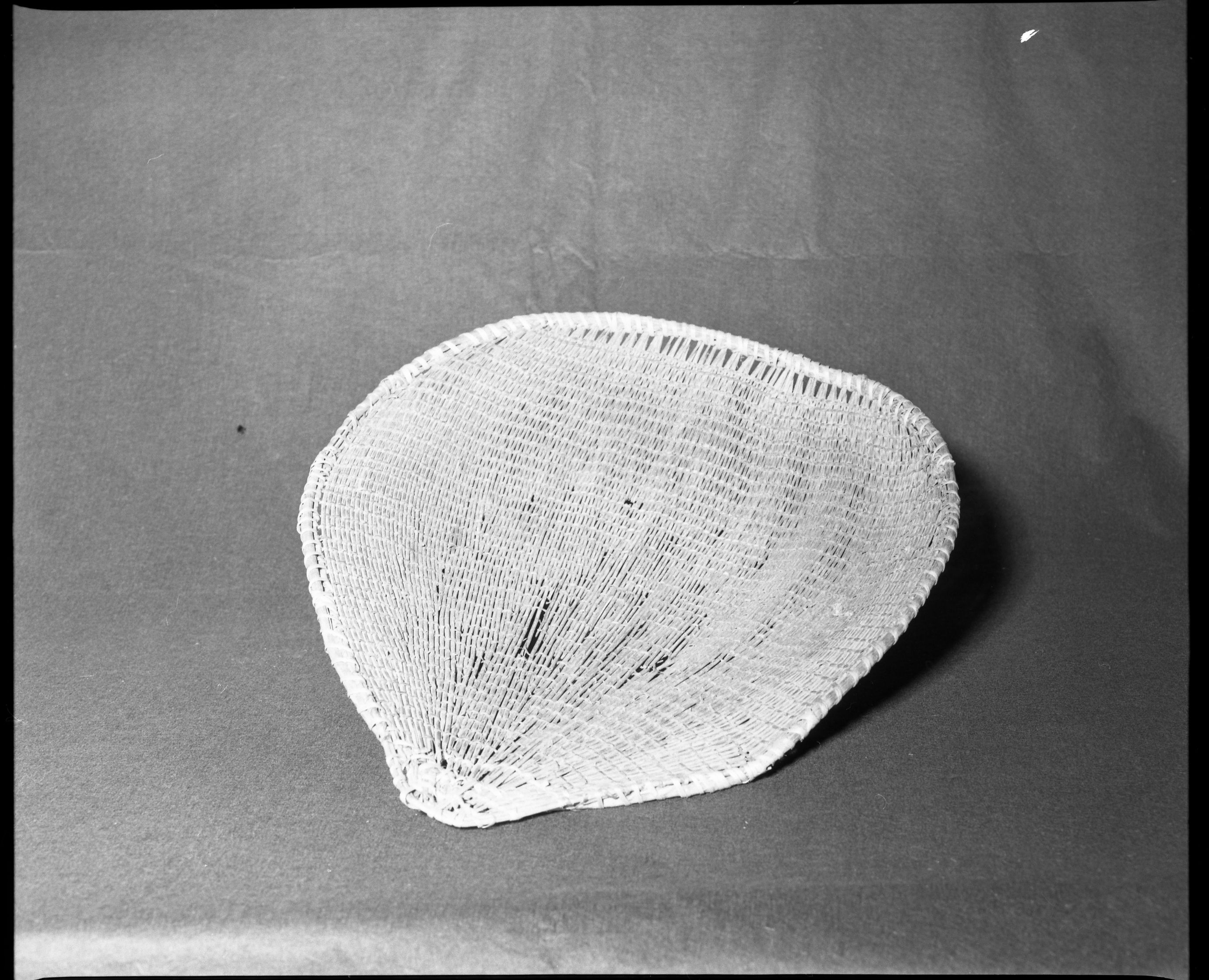 Mrs. Donald Segerstrom Collection. Object: Washoe type winnower with probable Miwok repair. Dimensions: 18 x 22". Materials: Willow with more recent repairs either in willow or split maple shoots. Technology: Spaced rows of diagonal twining, up to right slant of turns, warp rods twined over each other at finish. Photographed by Michael Dixon. Catalogued by Craig Bates and Barbara Beroza. Yosemite Collections, National Park Service. 1/83.