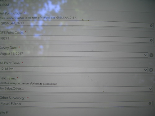 GRSM Accuracy Assessment. Plot Code: GRSM_AA_0271_1