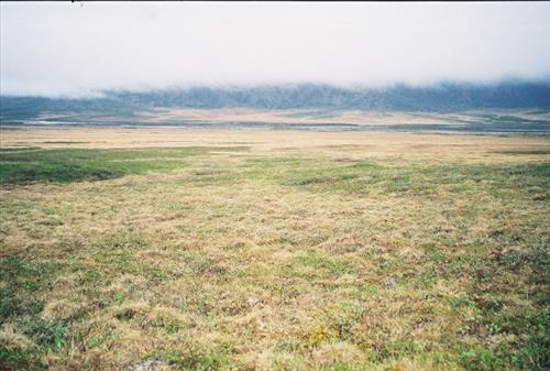 7 Gates of the Arctic National Park and Preserve Itkillik Birds Survey June 2006