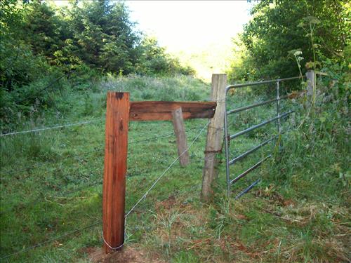 Orick Hill Fence Repair 2010