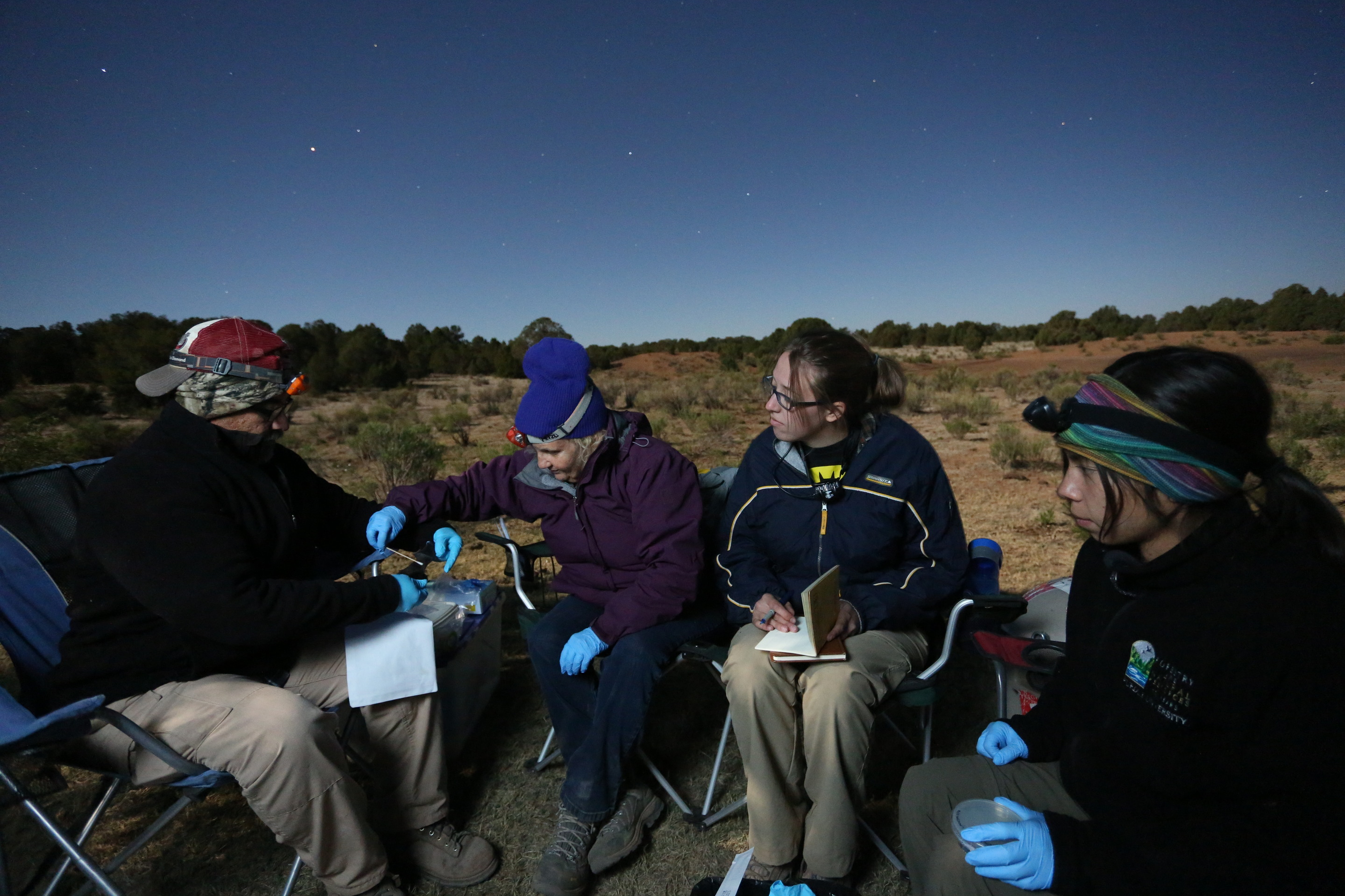 Outside at night in a desert landscape, 3 young woman with headlamps sit in fold up chairs in a half circle with a man a the end showing how to measure a bat's length. 