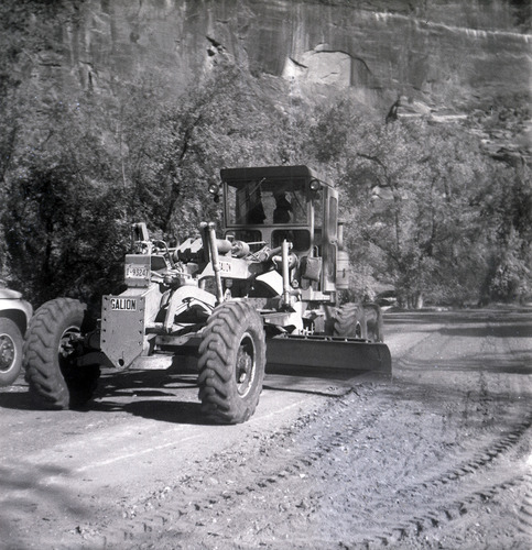 Excavator smoothing out road during construction near the Temple of Sinawava.