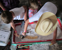 Three kids, one in a big cowboy hat, using tools to dig fossils from fine sand in a table from above.