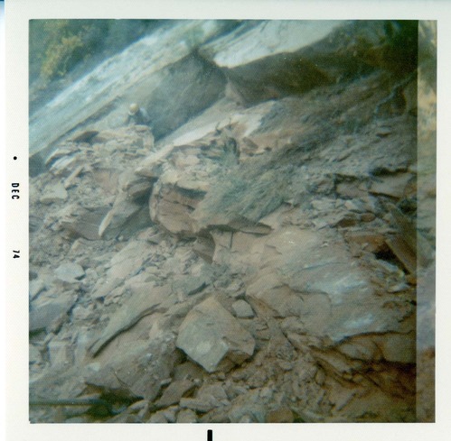 Rock wall along trail in Zion.