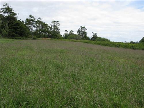 Prairie Restoration, Part 2