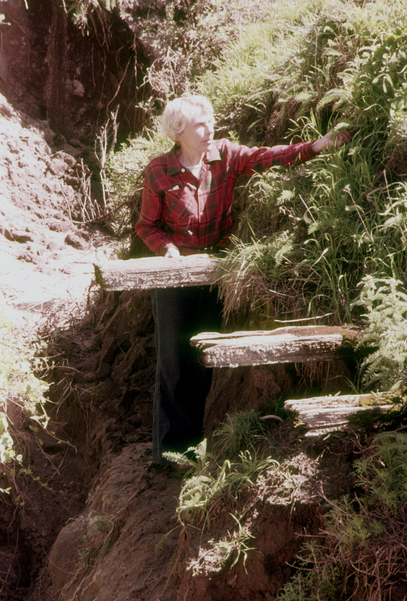 Nidever Adobe Remnants