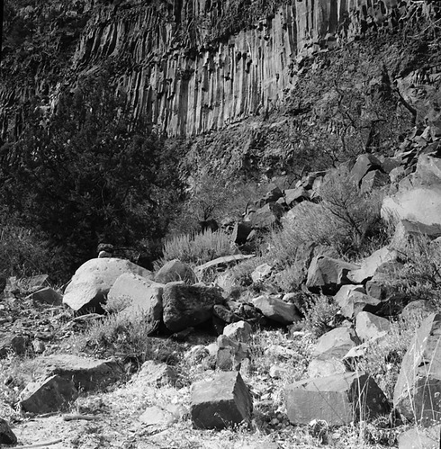 Outcrop of lava basaltic columns on Left Fork, North Creek more than 1100 feet thick, Section 22, T 40 S, R 11 W.