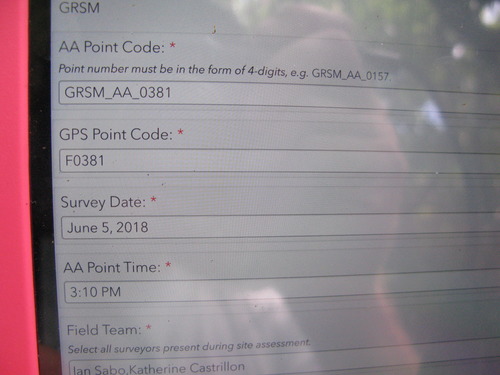 GRSM Accuracy Assessment. Plot Code: GRSM_AA_0381
