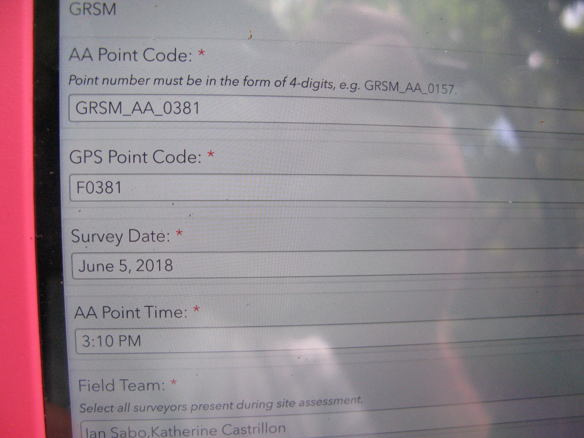 GRSM Accuracy Assessment. Plot Code: GRSM_AA_0381
