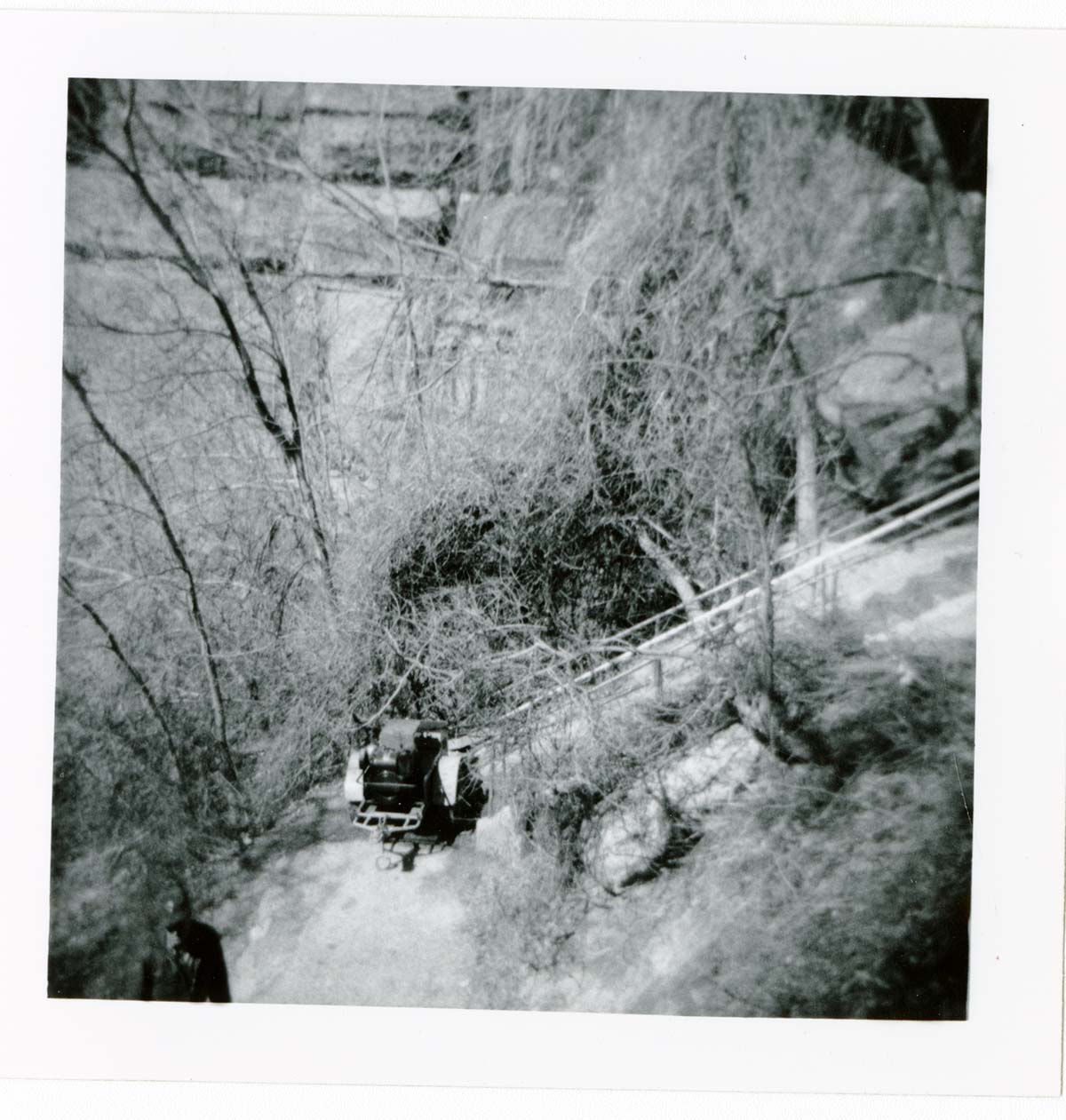 General view of the East Rim trail.