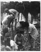 A black and white image of seven Youth Conservation Corps members cleaning up a royal fishpond. All seven members are located towards the bottom left side of the image. Their hands are underneath the water pulling things out of the bottom of the pond. There are buckets scattered around them to hold the debris they are collecting. Towards the right side of the image, one student in the group is standing holding a pickaxe logged into a chunk of thick mud. She appears to be in mid-motion attempting to drag the pickaxe towards her and out of the mud. In the background there is a rock wall bordering the pond.