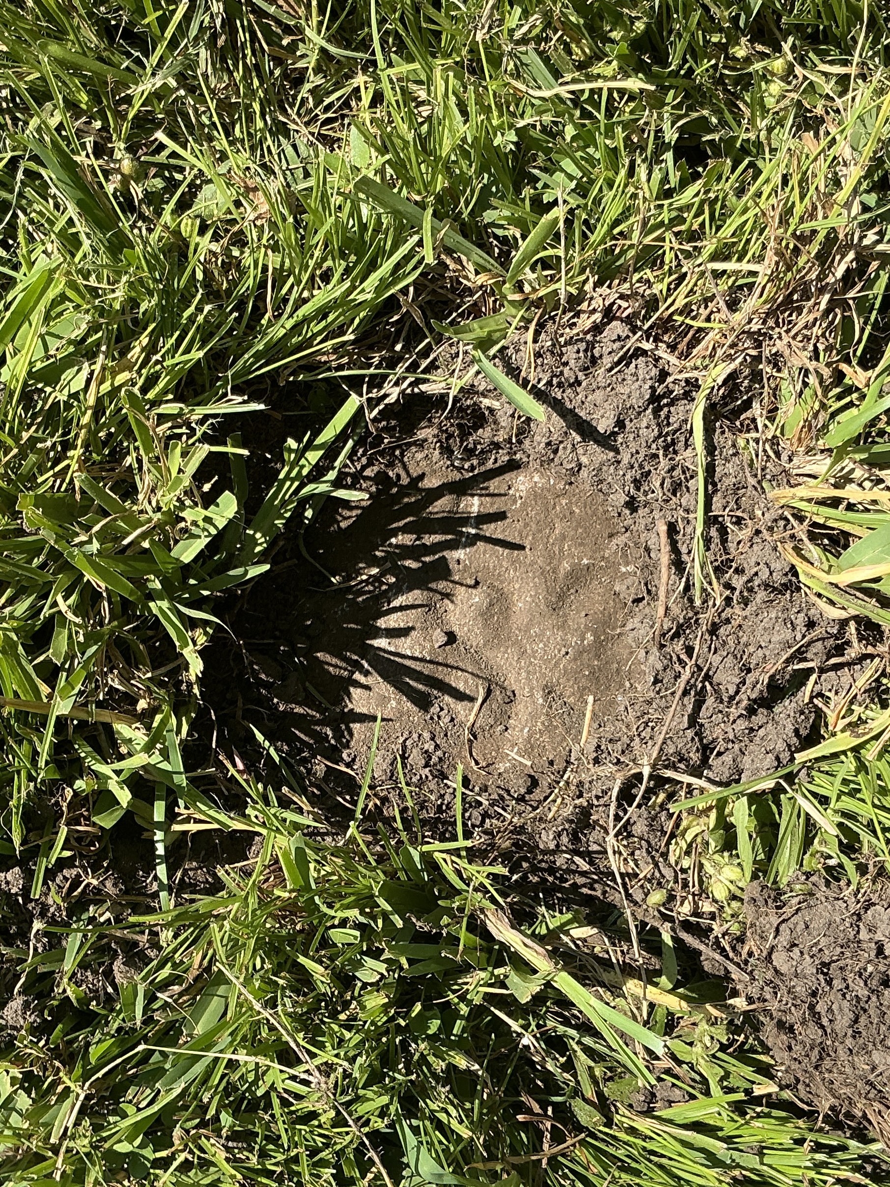 Top of flat marble marker