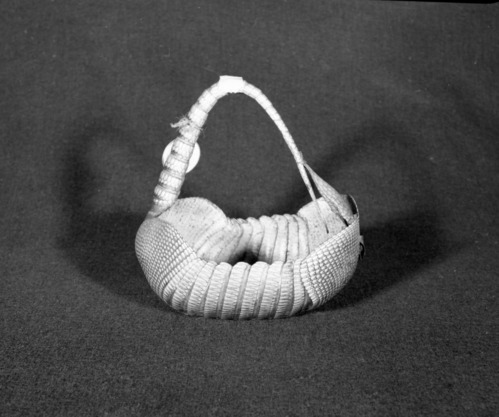 Marie Rozier Collection, Catalog No. 35. Object: Armadillo shell basket. Dimensions: 11 x 10 x 8". Materials: Armadillo shell. Collection History: Probably from Nothern Mexico. Acquired at rummage sale. Photographed by Michael Dixon in December 1982. Catalogued by Craig Bates and Barbara Beroza. Yosemite Collections, National Park Service.