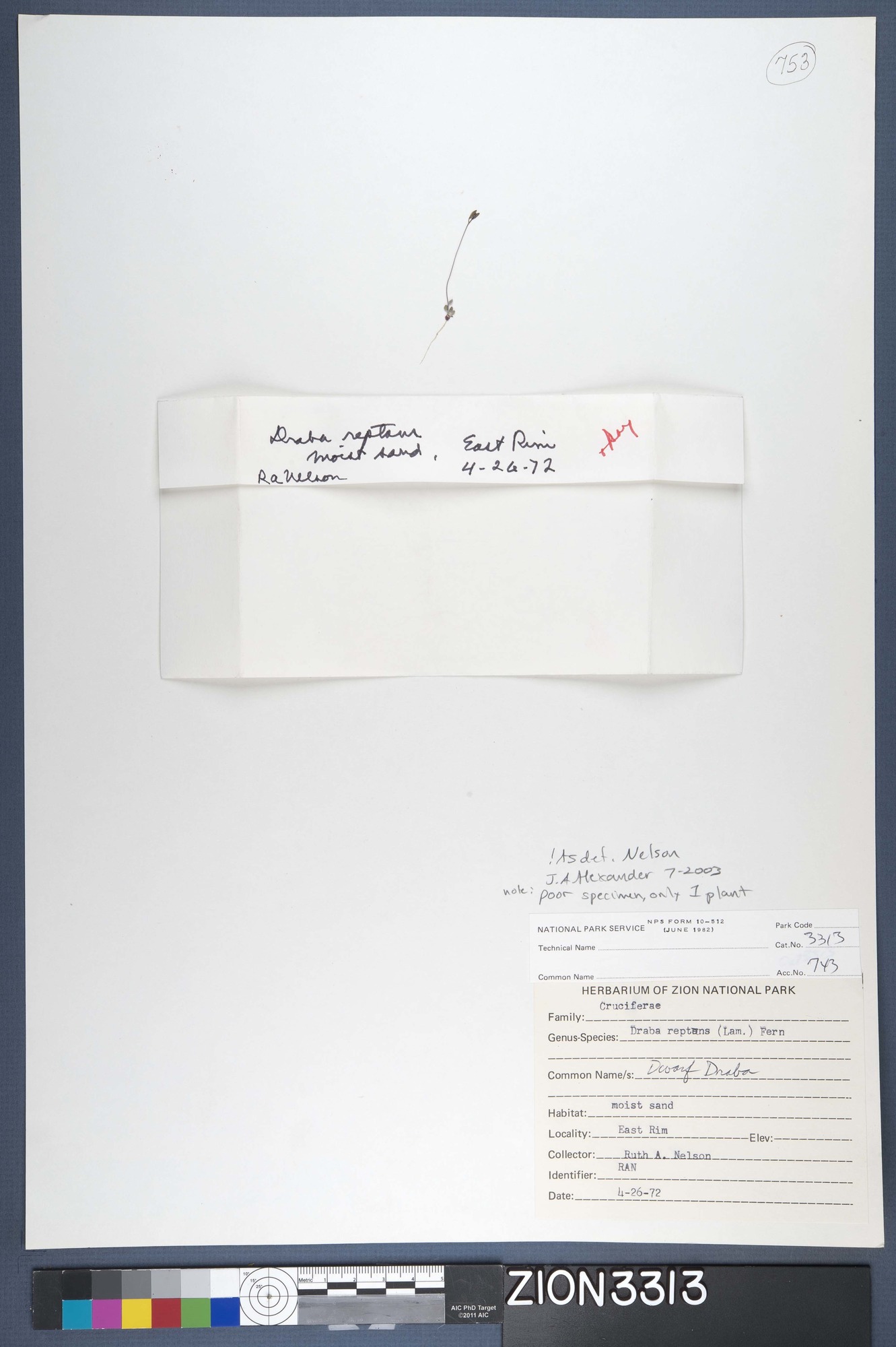 Herbarium Specimen Sheet 3313