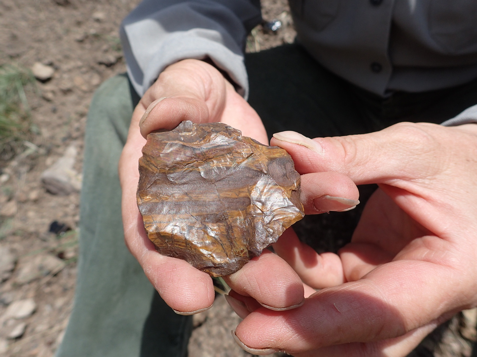 Hands holding a swirly sample of smooth, brown and orange rock.