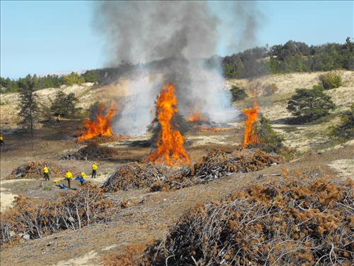 Dune and Prairie Warbler Habitat Restoration at Sleeping Bear Dunes NL from September 2010-October 2011