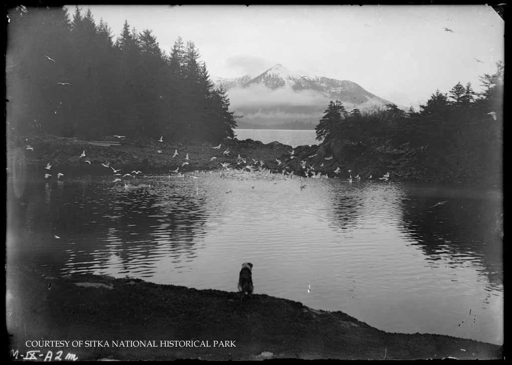 Gulls resting on small rocky islands.