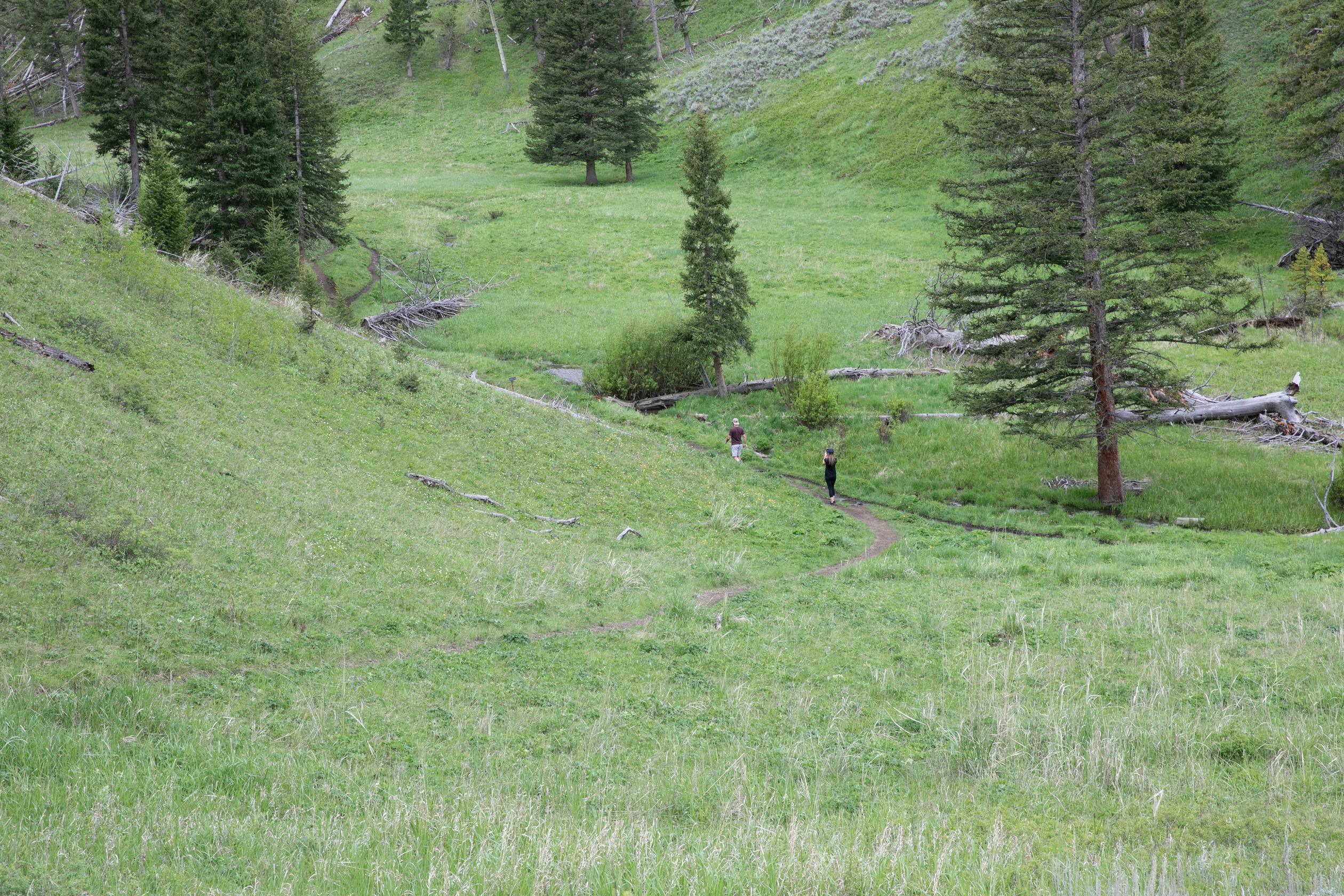 Two hikers in the distance on a trail on a grassy hillside.