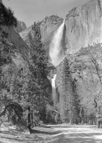 Falls from loop road.