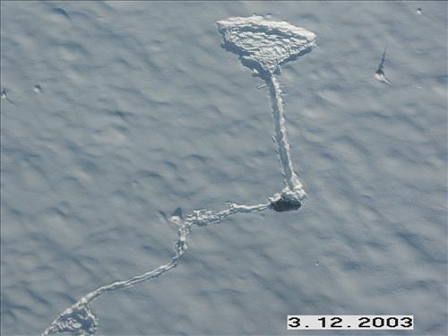 1 Yukon-Charley Rivers National Preserve Wolf Capture 2003