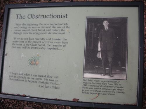 Giant Forest--Unpaved Trails--waysides--Sequoia and Kings Canyon National Park--12/2009