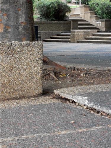 Meridian Hill Phase V Existing Conditions