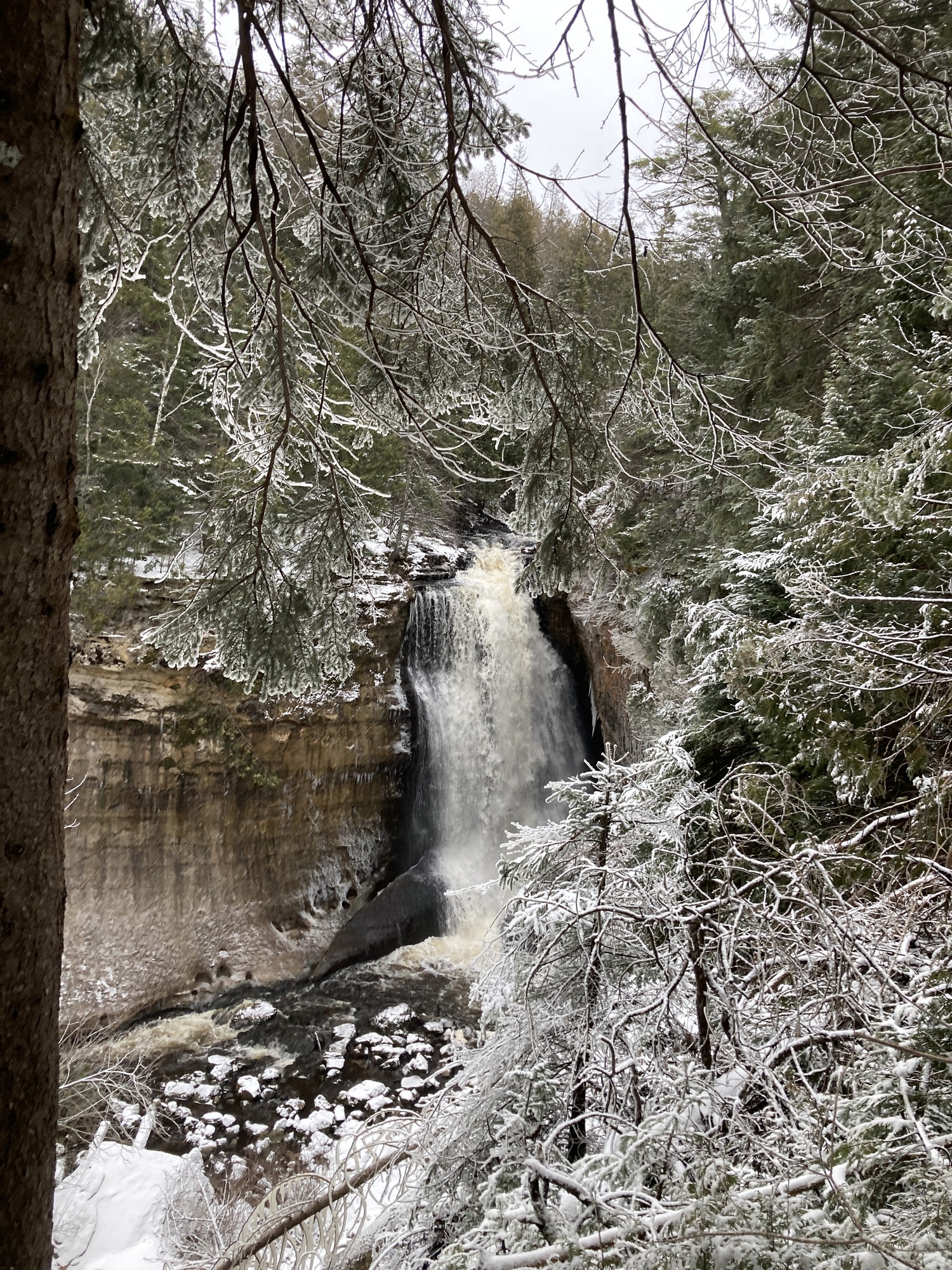Miners Falls flows out of a lightly snow coated evergreen forest and over a cliff.