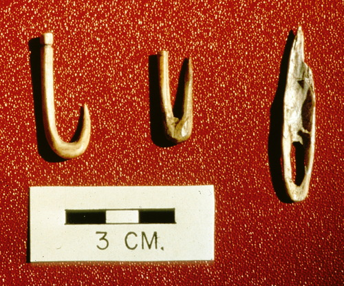 Two completed bone fish hooks and one uncompleted  