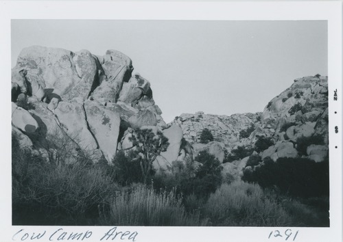 Black and white image of Cow Camp area