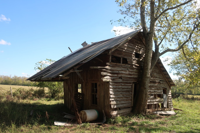 Wooden structure with metal roof.