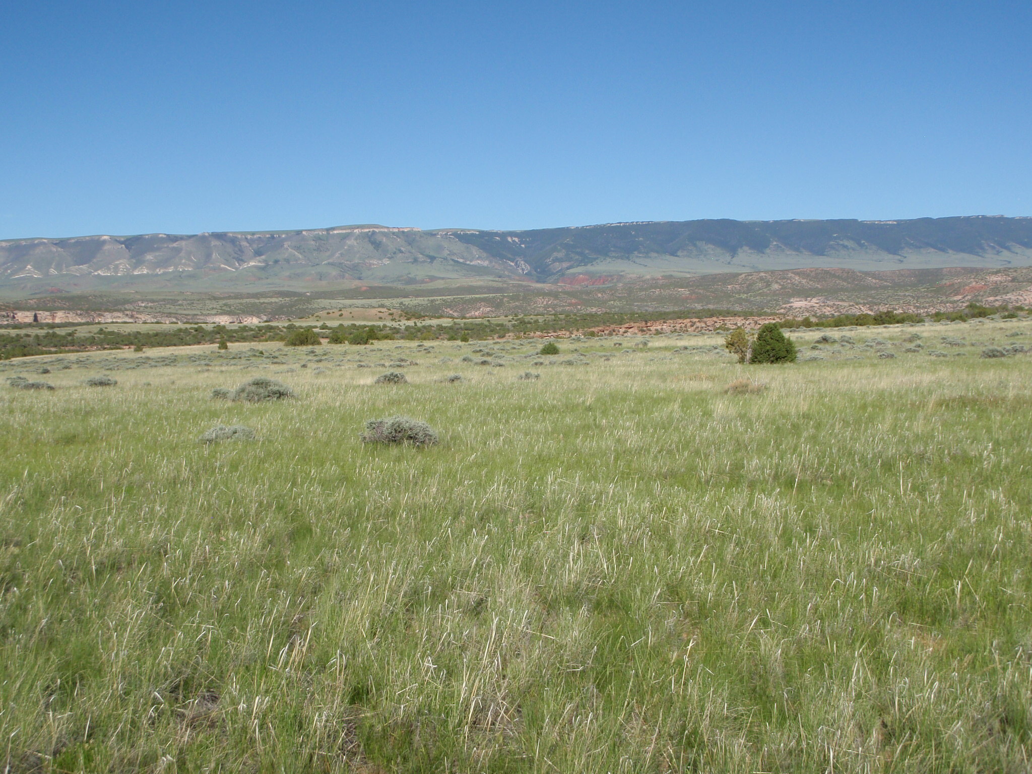 Image of the vegetation and landscape at photo point in Bighorn Canyon NRA 