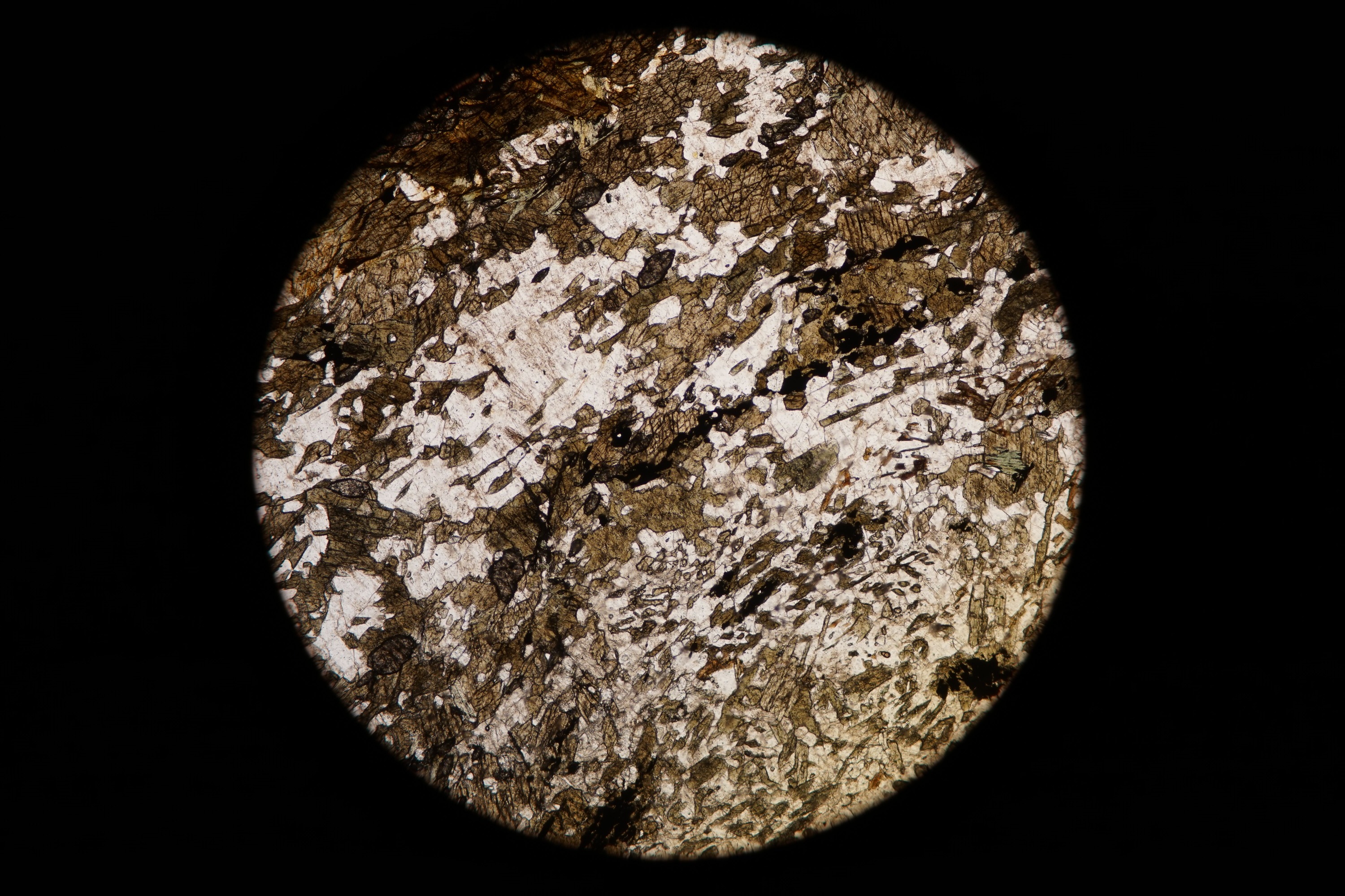Circular microscopic image of rock structure.