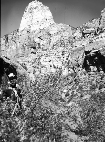 Gregory Butte - view from Hop Valley. Horse and rider in far left of photo.