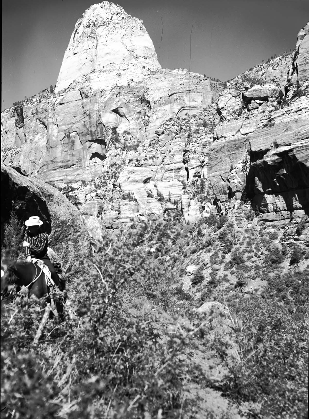 Gregory Butte - view from Hop Valley. Horse and rider in far left of photo.