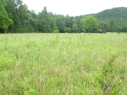 Plot Code: GRSM_AA_0470_2