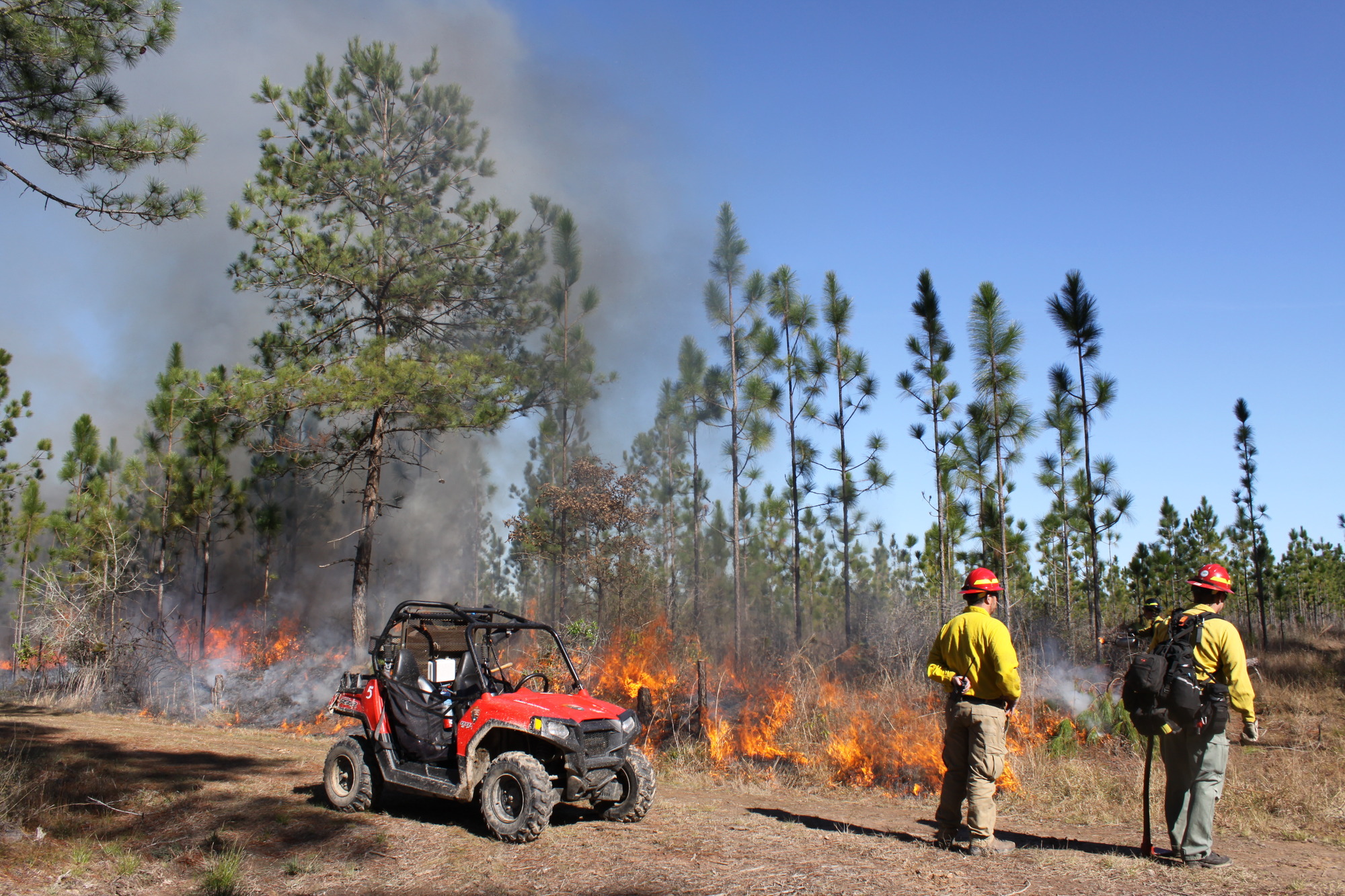 2 firefighters stand next to an all terrain vehicle while a small fire creeps through grasses and young trees