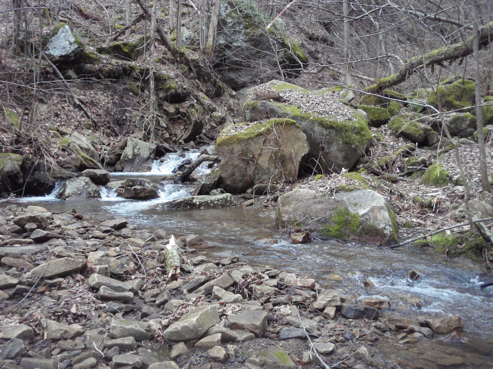 Site visit photo showing the upstream (UP) or downstream (DN) view of a wadeable stream reach taken during benthic macroinvertebrate monitoring at New River Gorge National Park and Preserve.