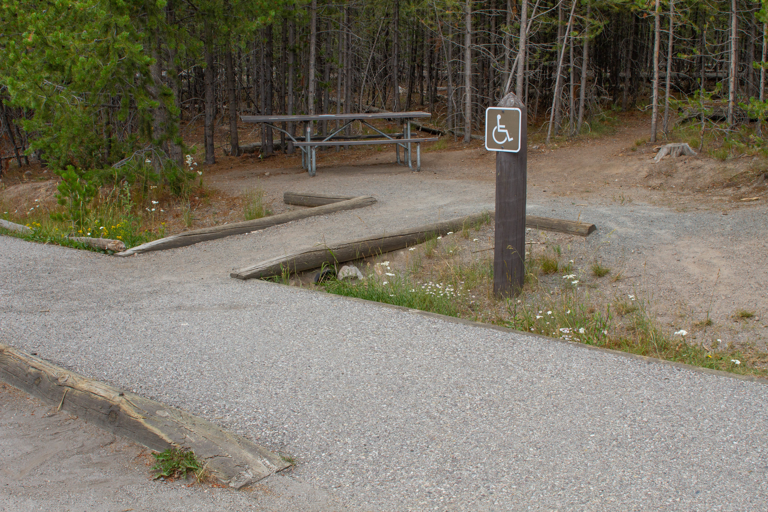Accessible walkway to picnic table in trees