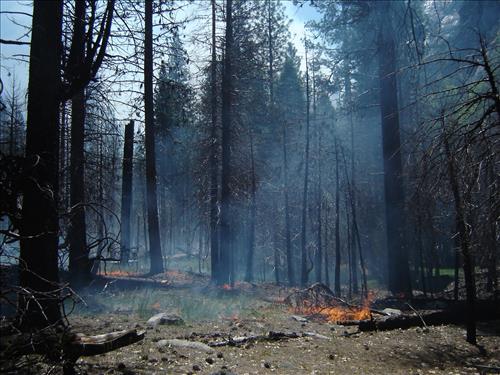 Roads End Prescribed Fire, Sequoia and Kings Canyon National Parks, May 2005