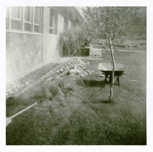 Landscaping materials (wheelbarrow, shovel, rocks) during landscaping of the exterior of old Mission 66 Visitor Center and Museum.