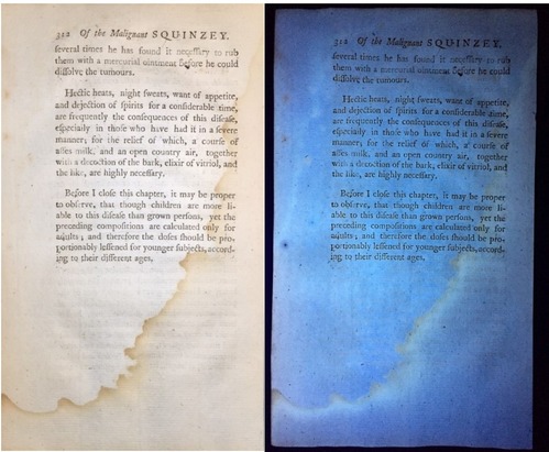 Figure 1. BB #1077, “The Modern Practice of Physic”, Vol. 1, London, 1768. Tideline 
as seen in normal light (left) and UV light (right).