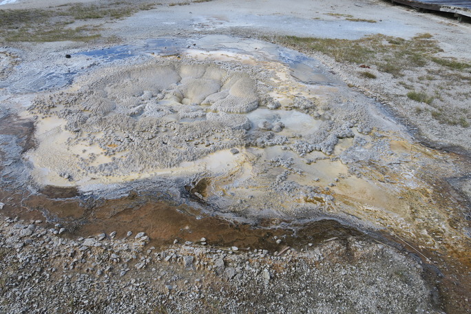 Anemone Geyser